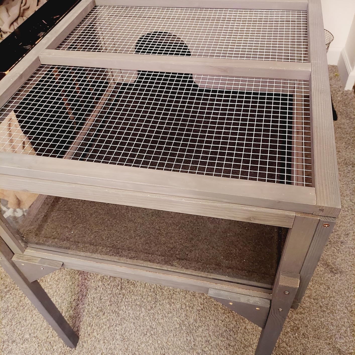 GEGURI Tortoise Habitat Indoor & Outdoor, Wooden Tortoise House with Detachable Legs, Reptile Cage for Small Animals customer photo 1