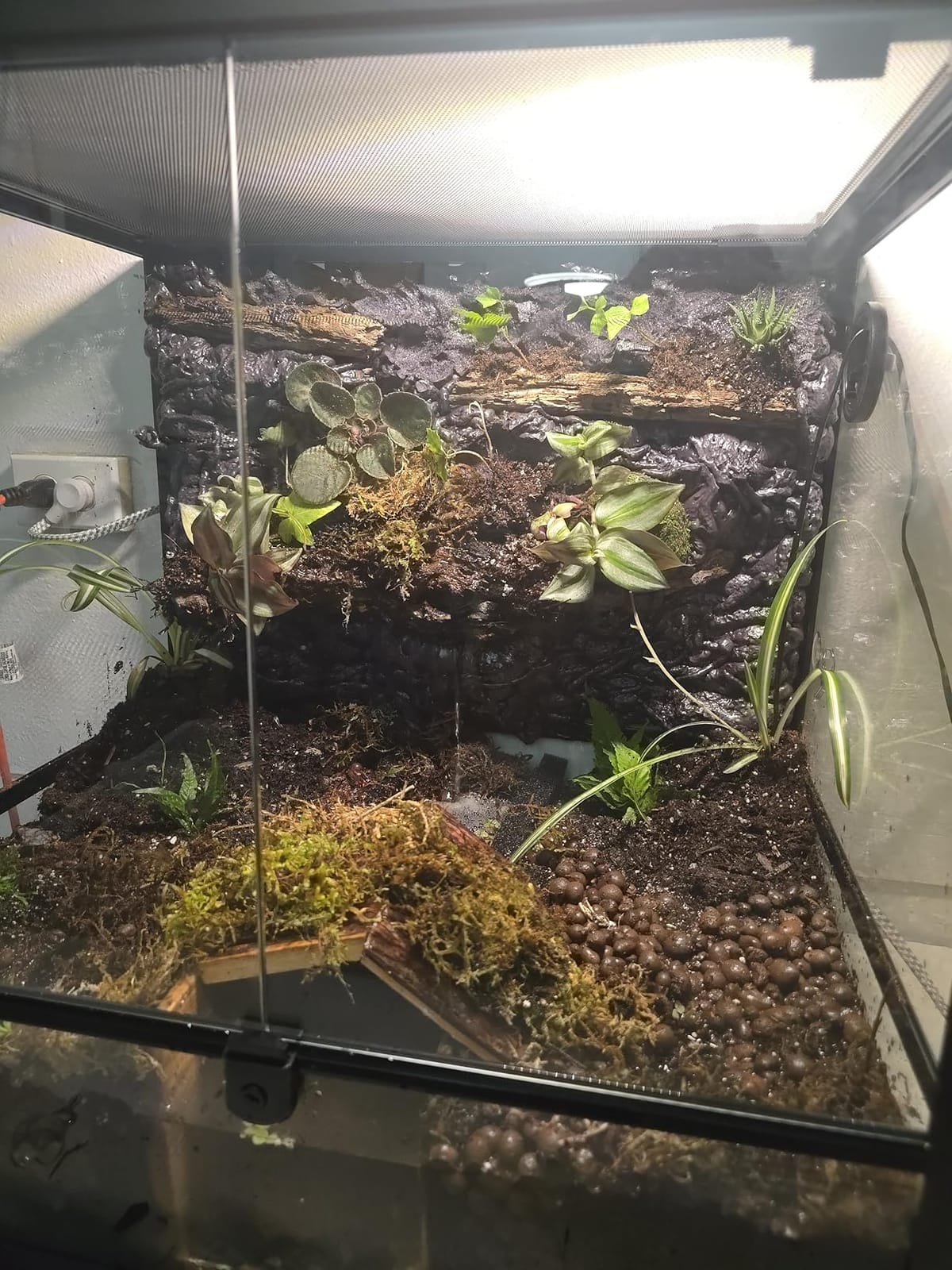 REPTIZOO 60 Gallon Glass Reptile Tank, 24