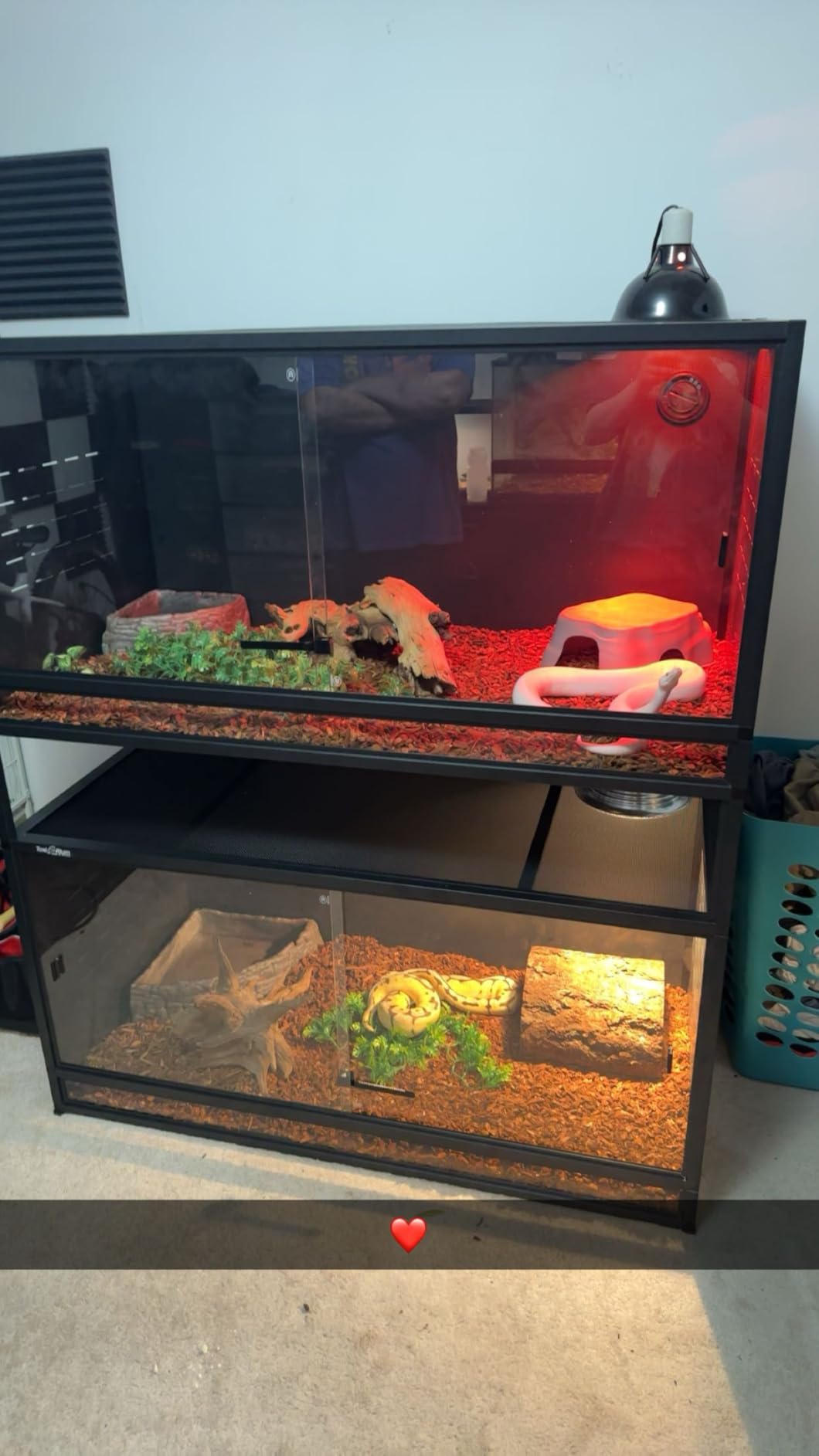 PVC Reptile Enclosure Space Efficient 44''x20''x20'' Stackable ToxiRium Large Reptile Terrarium 76 Gallons for Bearded Dragon Lizard Snake, Breeding Vivarium with Sliding Doors Lock-2pcs with spacers customer photo 2