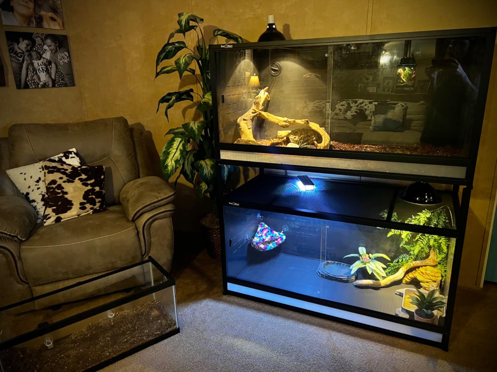 PVC Reptile Enclosure 48