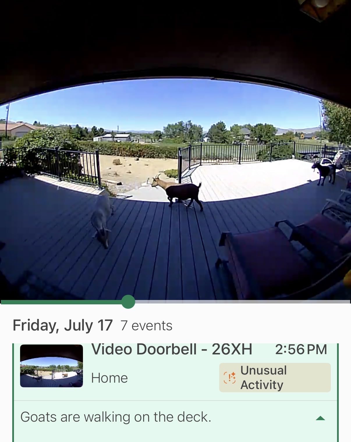 Blink Video Doorbell – Head-to-toe HD view, two-year battery life, and simple setup. Sync Module Core included – System (White) customer photo 2