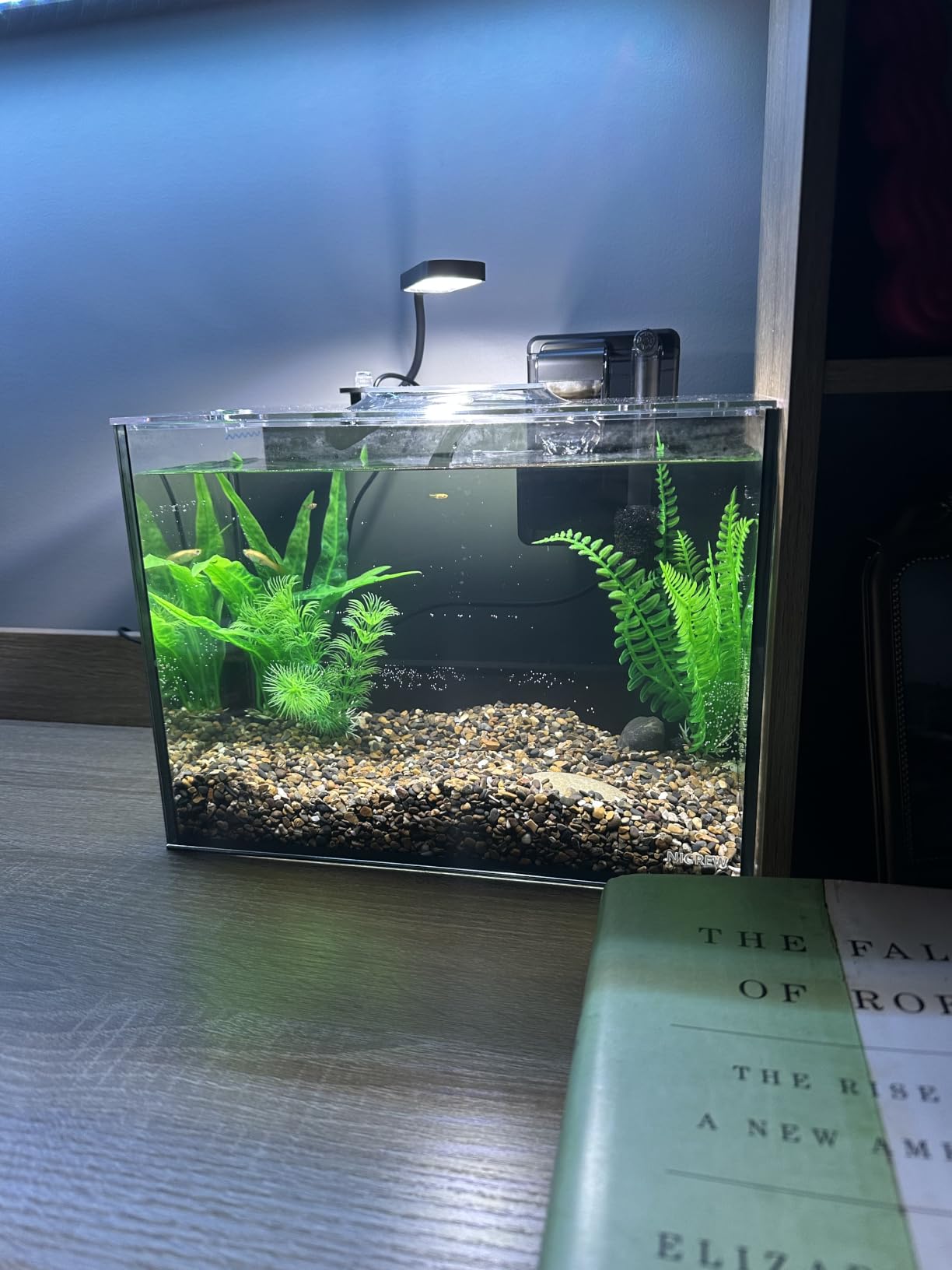 NICREW 2.5 Gallon Nano Nature Aquarium Kit Betta Fish Tank, Complete, Black customer photo 2