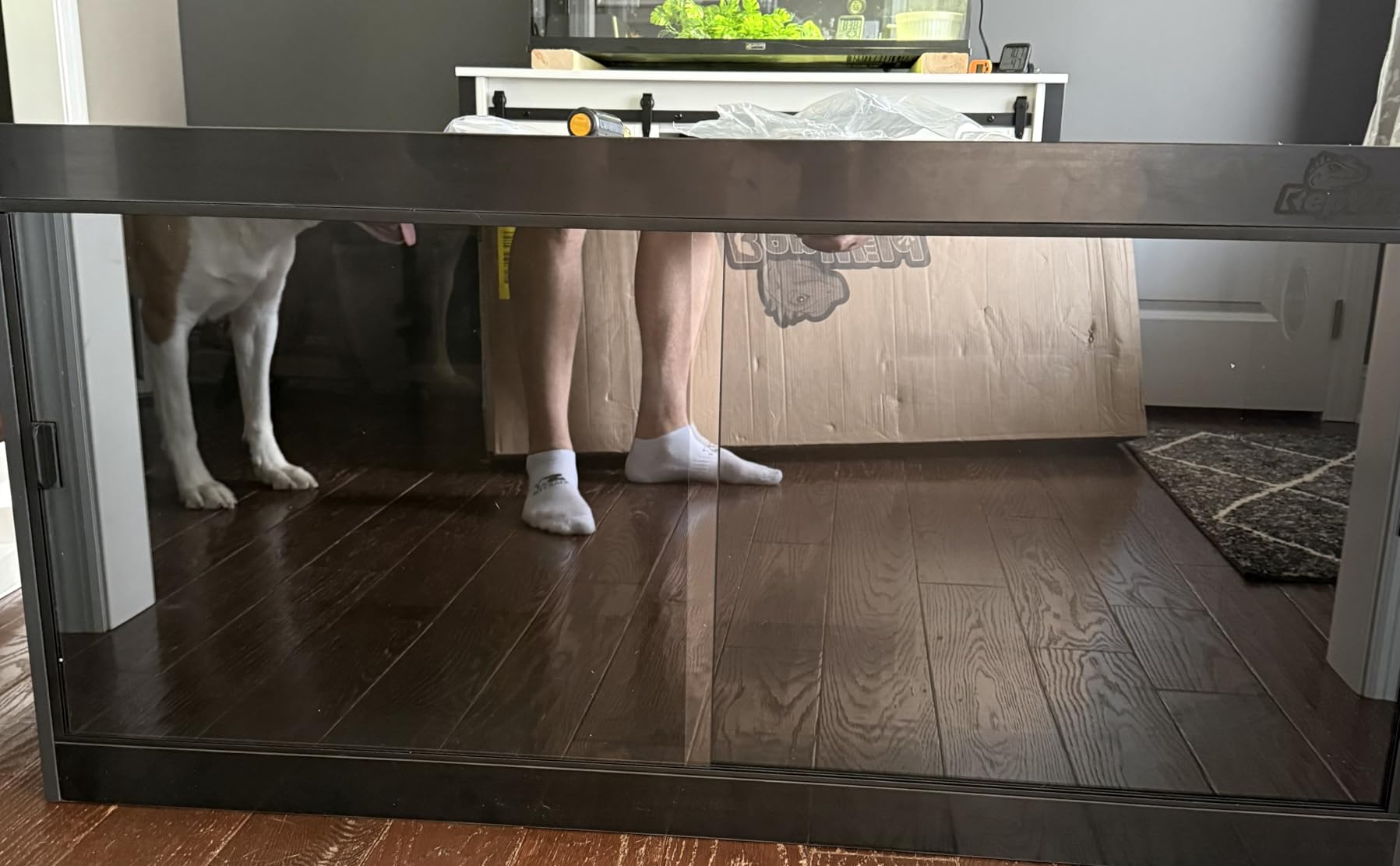 4x2x2 (120 Gallon) PVC Reptile Enclosure, RepWild Terrarium/Tank with Heavy-Duty Screen Top, Glass Sliding Doors & Lock for Bearded Dragons, Ball Python, Geckos, Lizards customer photo 2