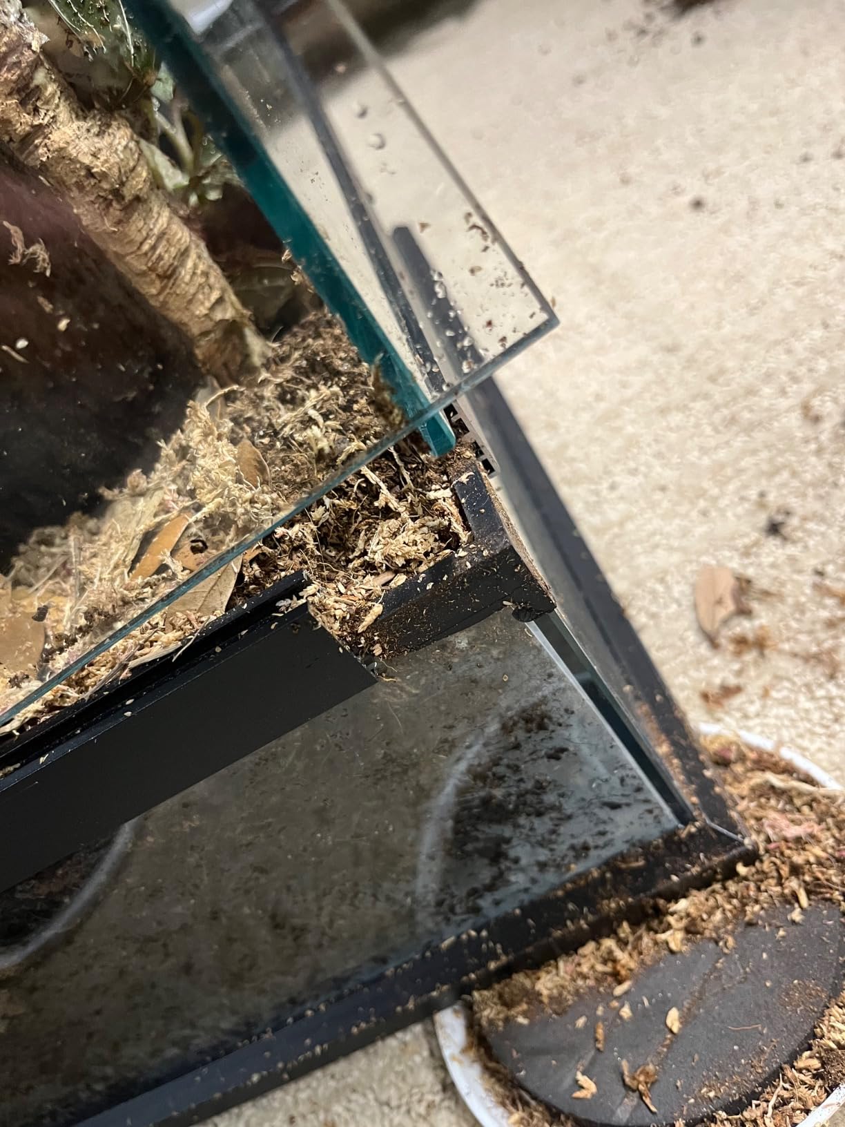 24x18x18'' Front-Opening Glass Reptile Tank for Gecko & Snake customer photo 2