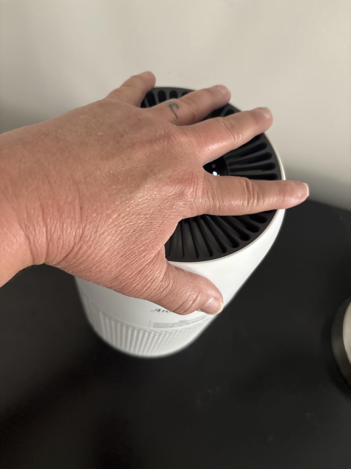 AromaRoom Air Purifier for Home, Air Cleaner for Smoke Pollen Dander Hair customer photo 1