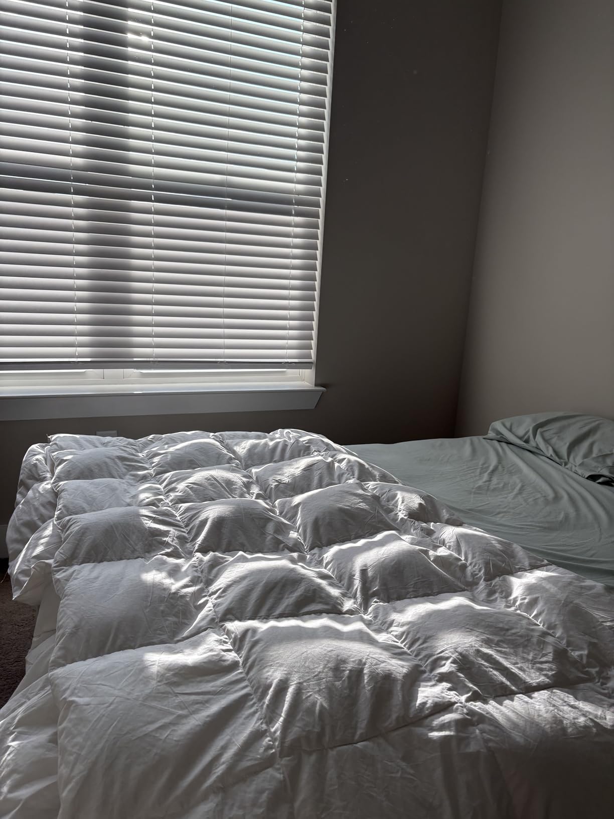 Hotel Grand White Goose Feather Down Fiber Comforter Queen, Extra Warmth customer photo 2