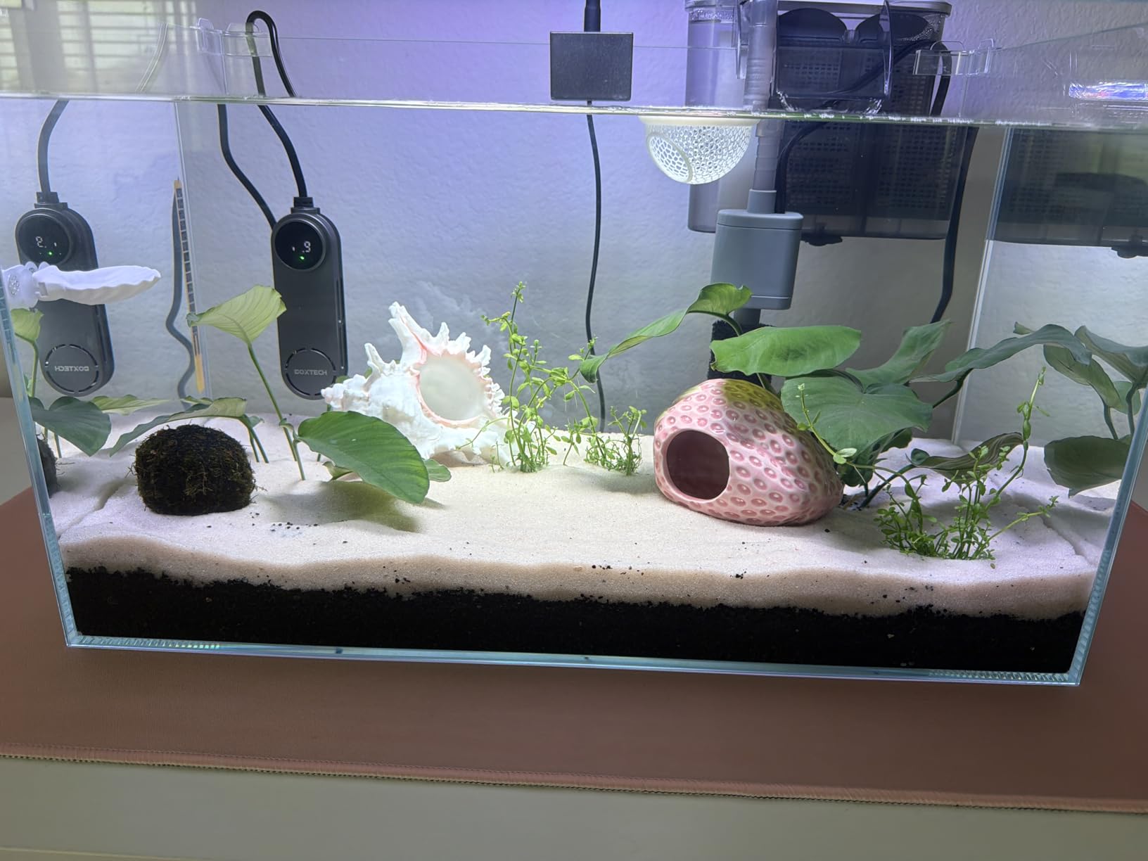 Vimvins 3 Gallon Glass Small Fish Tank, Betta Fish Tank Starter Kit with Filter, Lights,Lid. customer photo 1