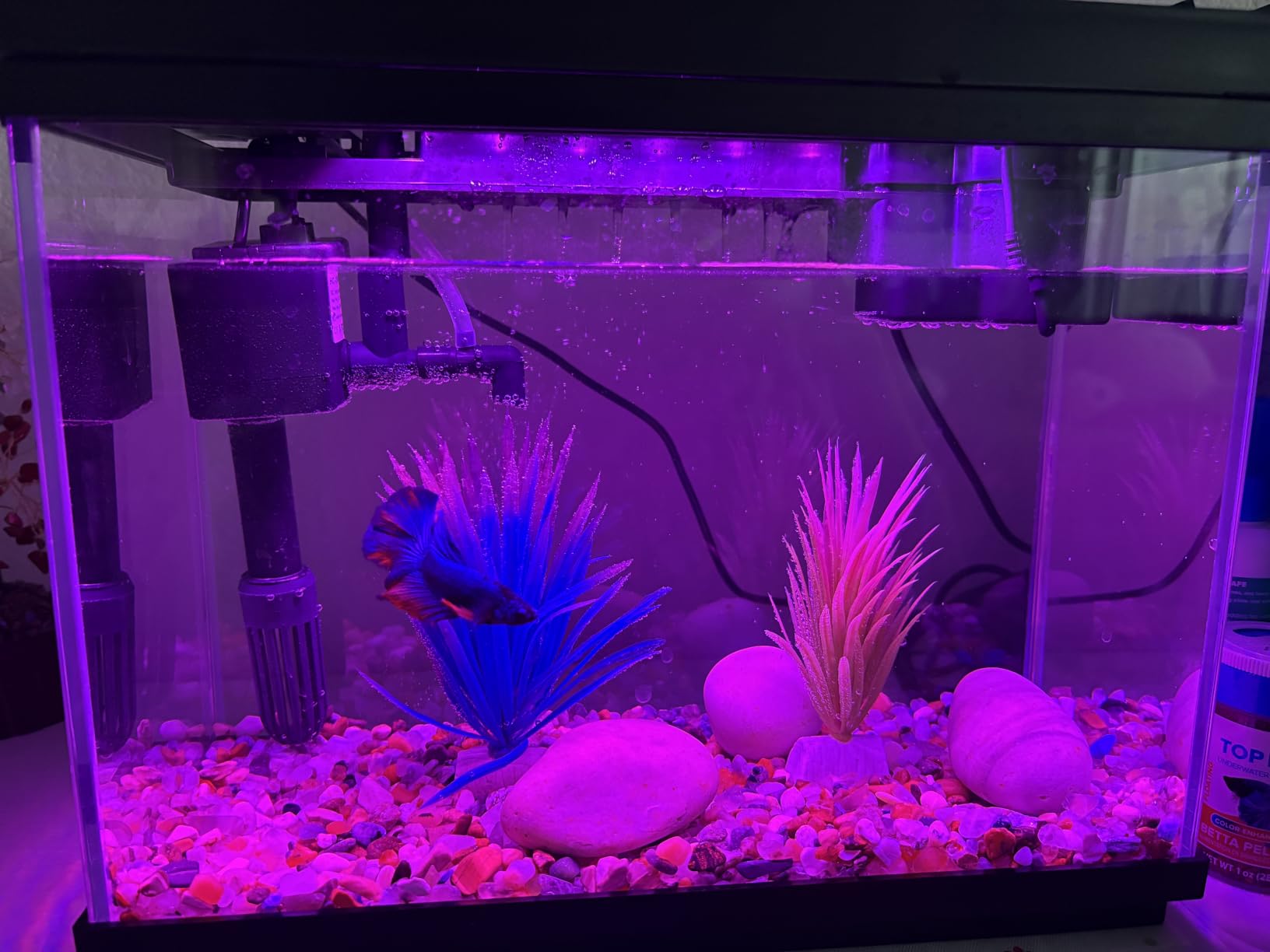 Vehipa Fish Tank, 2.4-Gallon Aquarium Starter Kit with 3-in-1 Quiet Pump customer photo 1