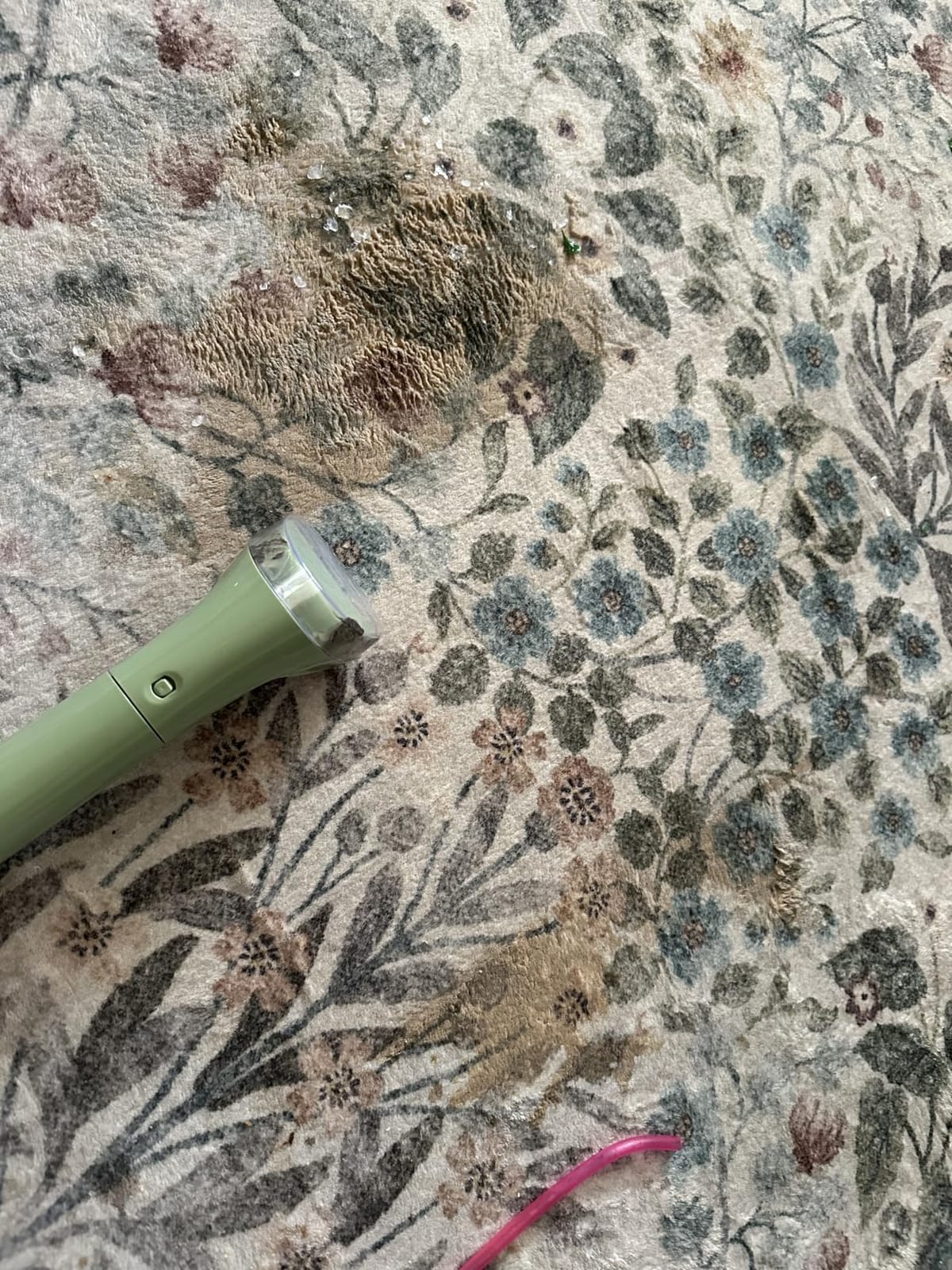 Washable Area Rug 8x10 - Vintage Floral Living Room Rug for Dining Room (Under Table), Bedroom - Stain Resistant, Soft Low Pile, Non-Slip Large Carpet customer photo 1
