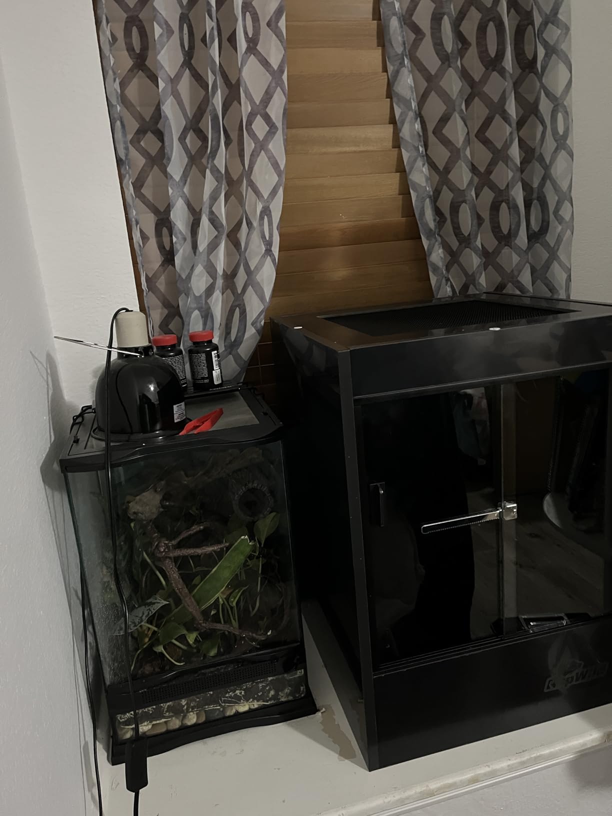 65 Gallon PVC Tall Reptile Terrarium, 24x18x36 Arboreal Enclosure customer photo 1
