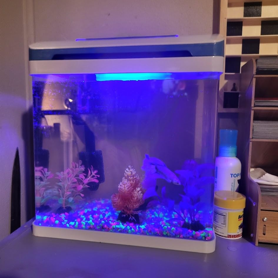 20 Gallon Fish Tank, Betta Large Aquarium Starter Kits,100% Glass Material customer photo 2