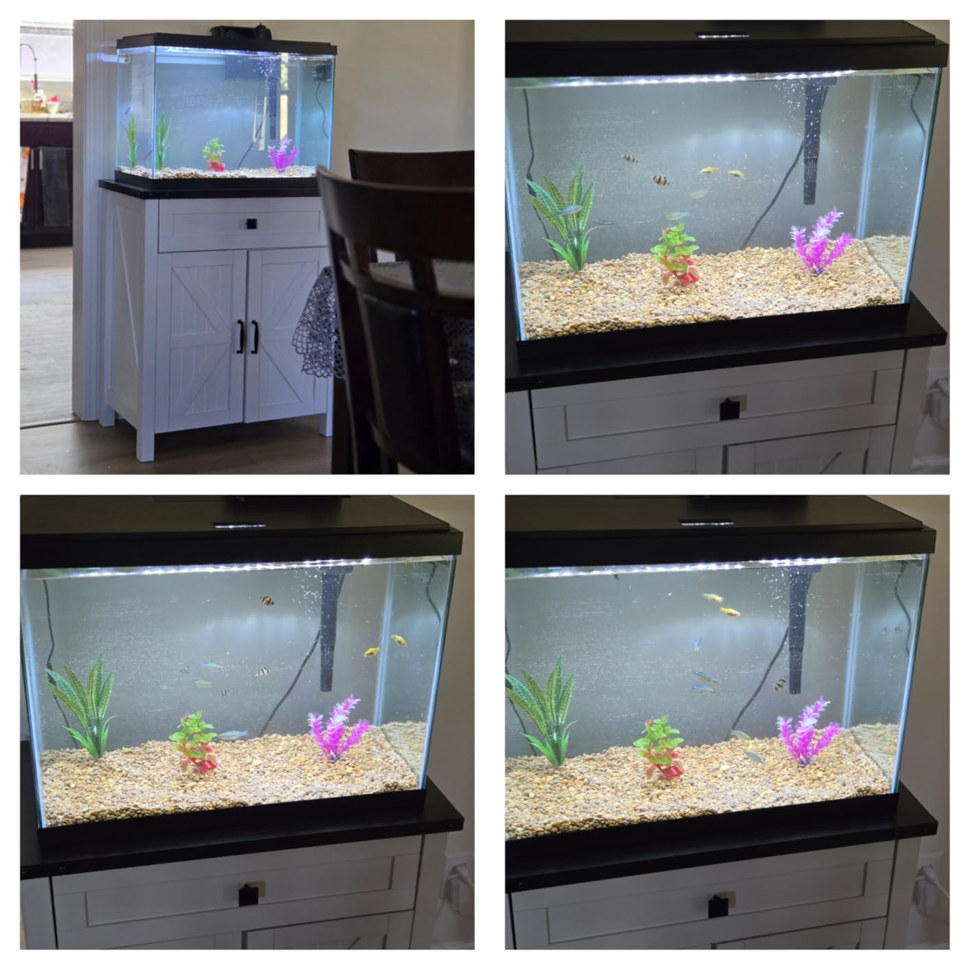 Saudism 75-120 Gallon Reptile Tank Stand with Display Shelf customer photo 2
