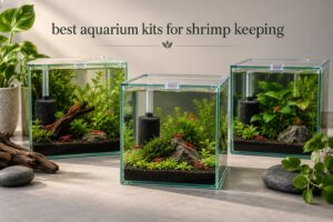 best aquarium kits for shrimp keeping